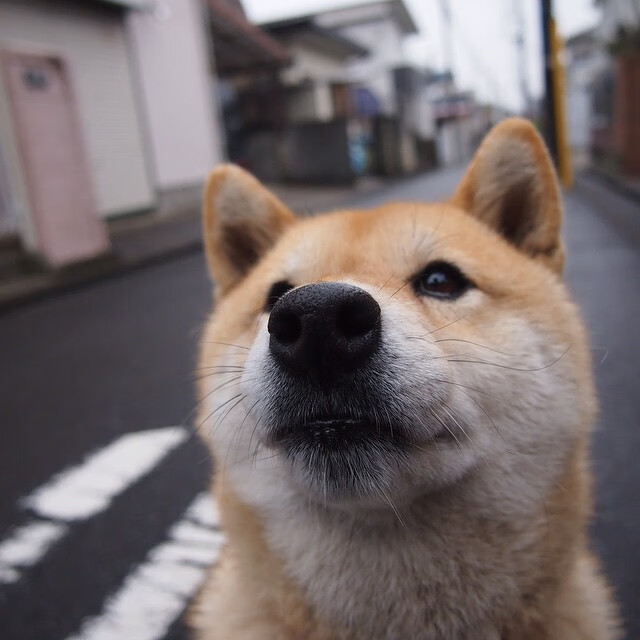 中国篮球职业联赛赛程安排优化研究，中国篮球职业联赛时间表