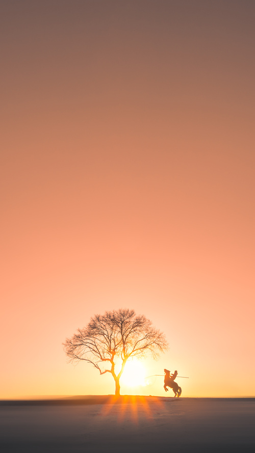 体育教学创新评价方法研究，体育课堂教学创新效果与成果