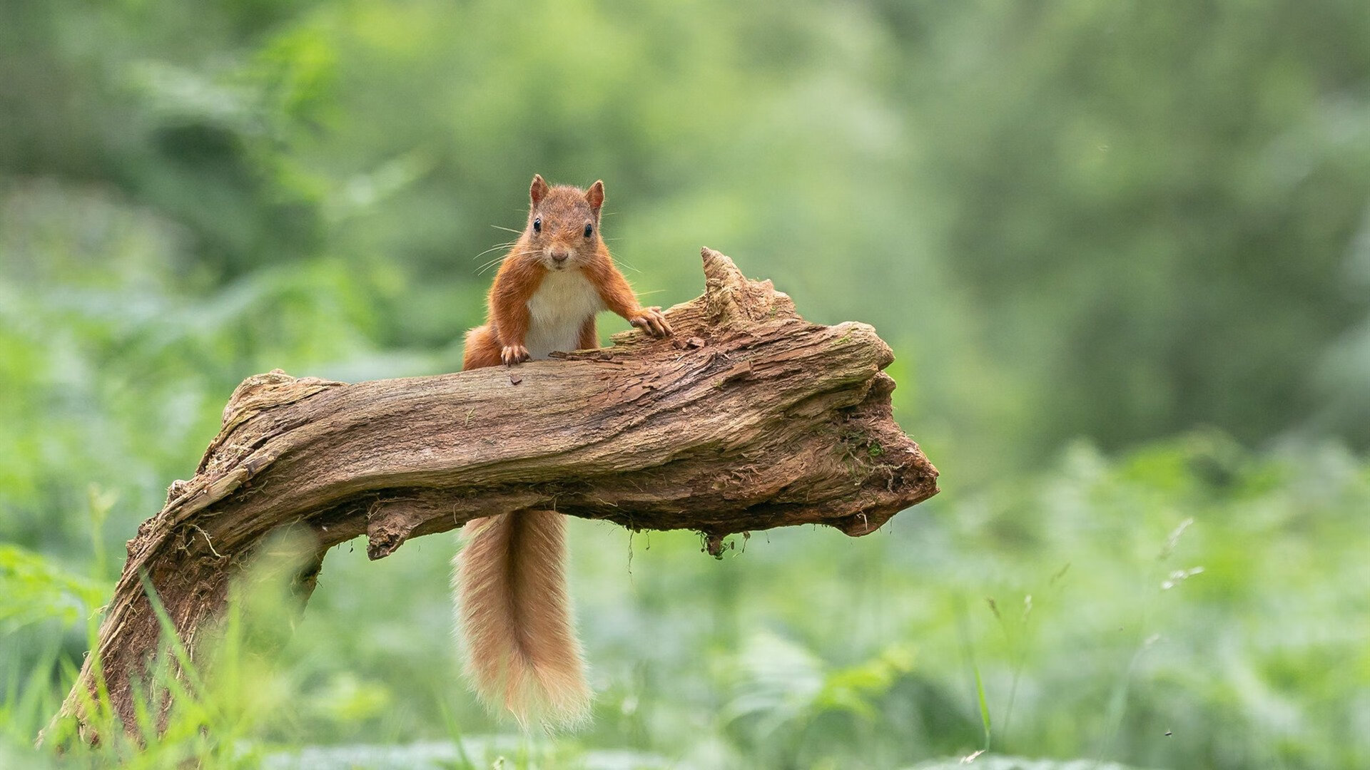 城市健身空间资源合理配置研究，城市健身空间资源合理配置研究论文