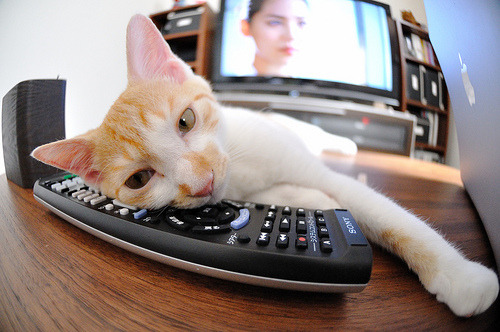 法甲球队利用视频分析优化防守站位与协防效率，法甲球队地理位置