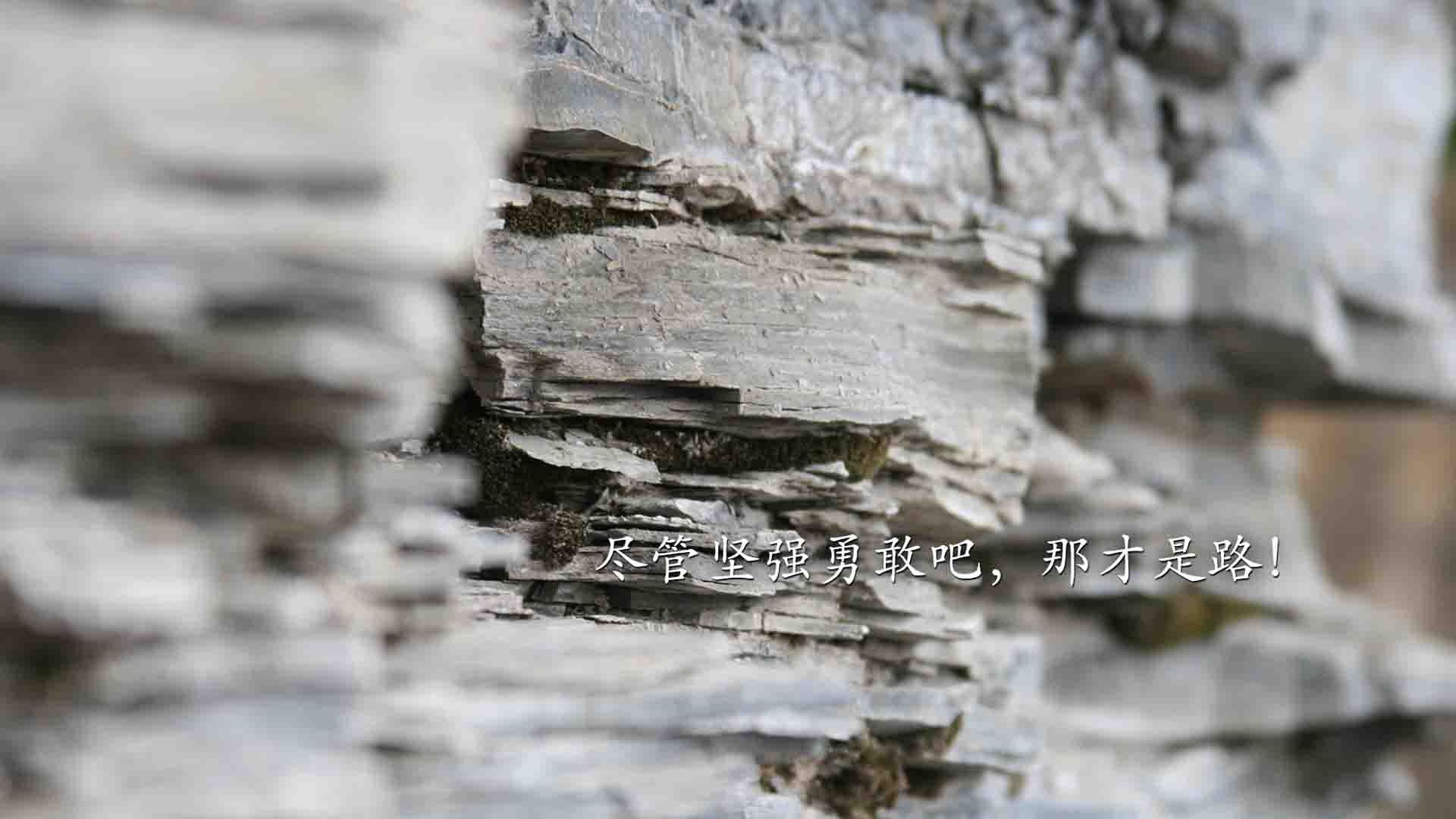 青少年体育运动心理素质测评体系构建，青少年运动员心理训练