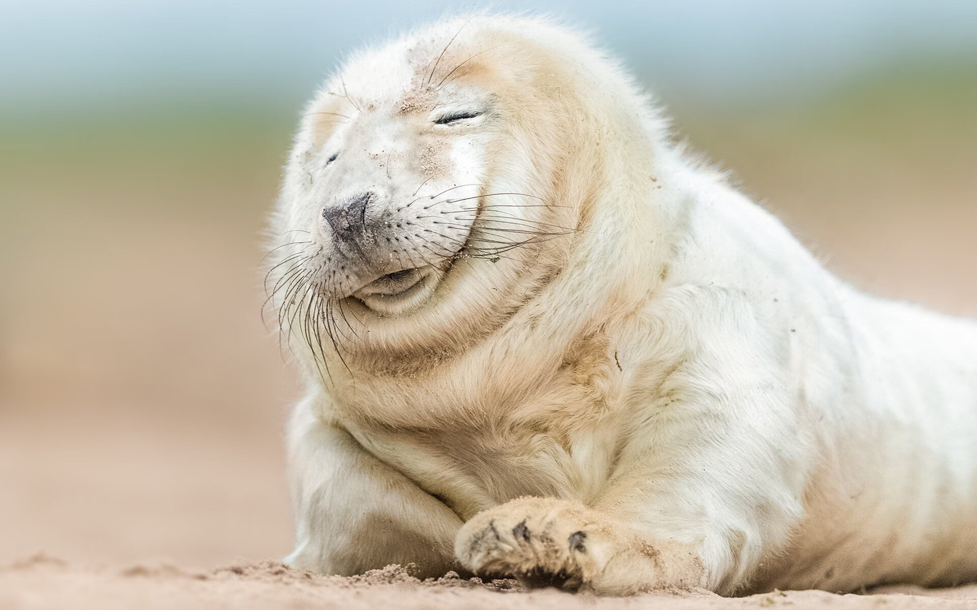 华体会登陆-五大联赛是否因对手风格变化主动调整中场厚度，五大联赛分析