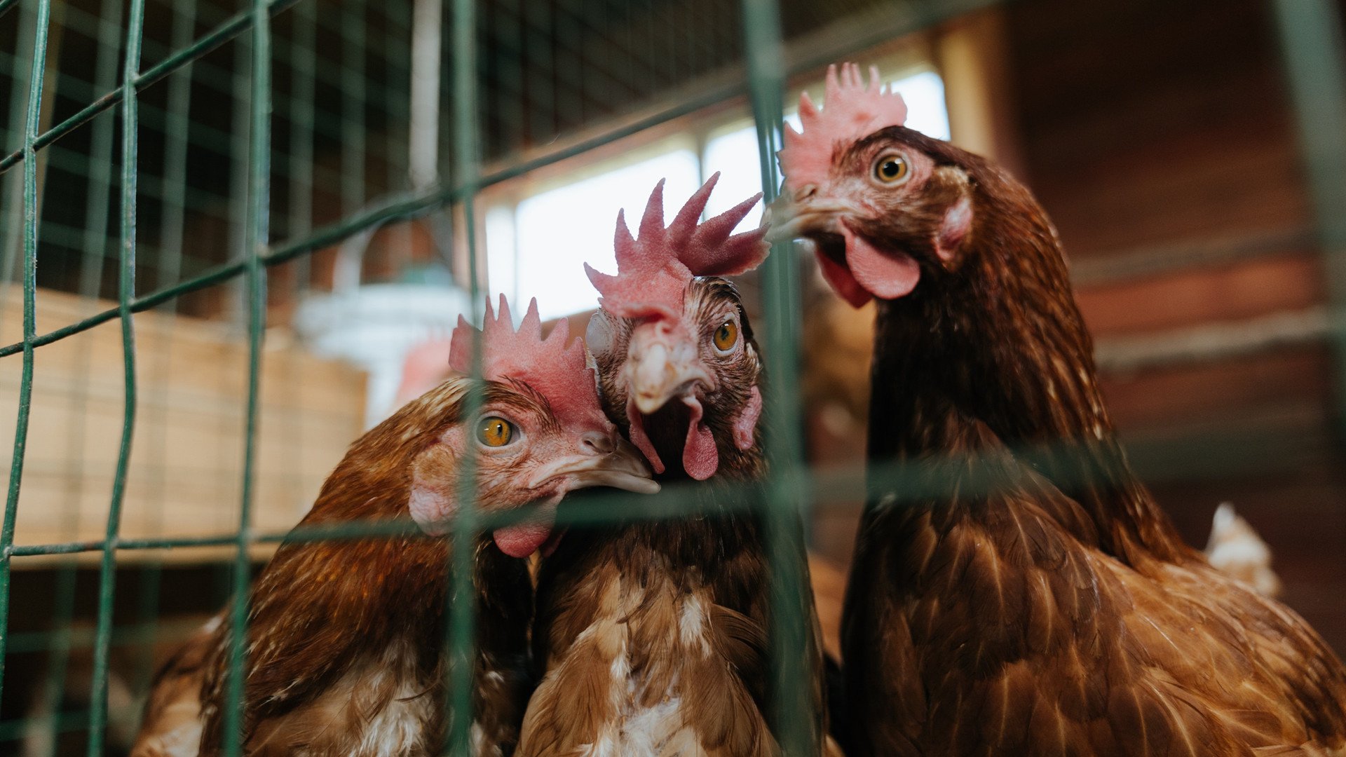 体育新闻中心联合机构推进体育科普视频策划联盟，体育赛事媒体宣传方案