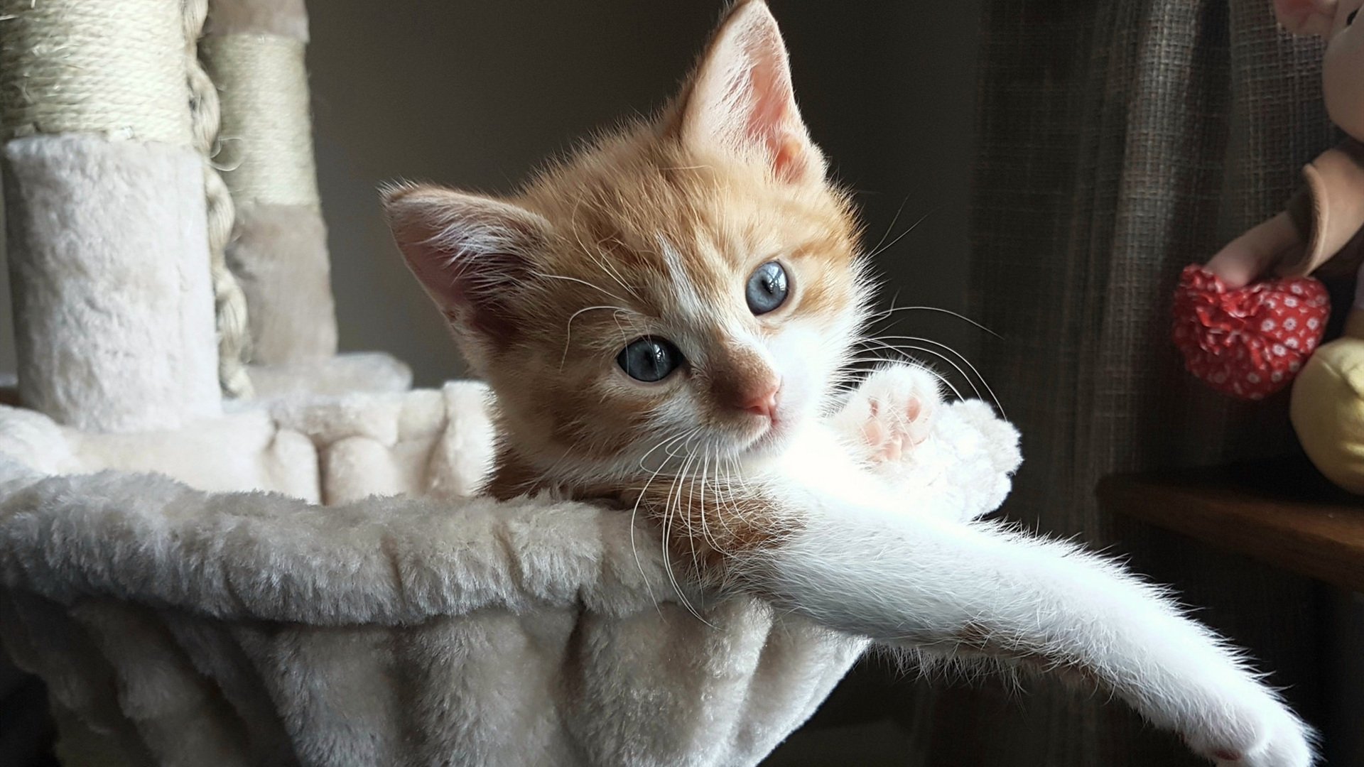 国家队整体战术风格不清晰，国家队整体战术风格不清晰怎么办