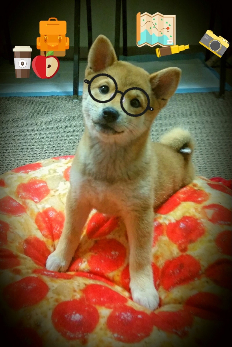 男子接力新组合试验成功，男子接力选手