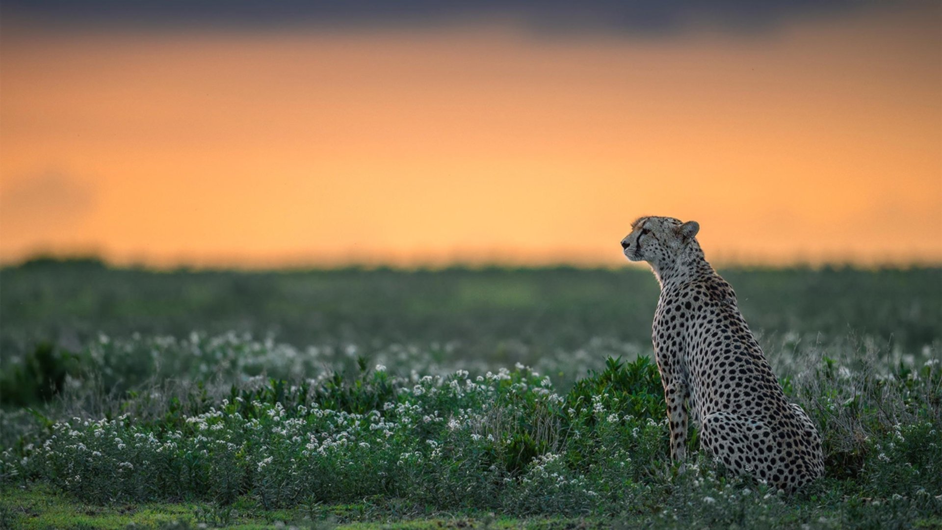 世界杯经典：历史最燃瞬间集锦，世界杯超燃视频