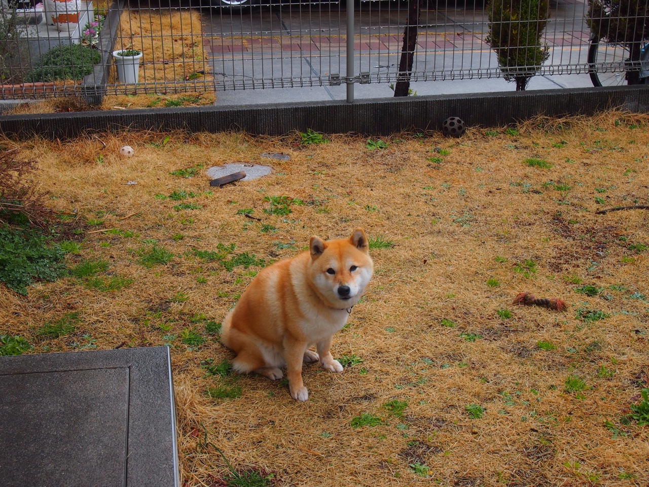 世界杯绝佳瞬间：令人动容的高光时刻集锦，世界杯经典镜头