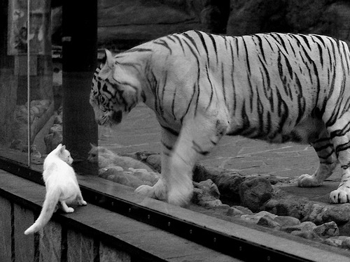 华体会app注册-主力球员表现稳定，多球员贡献进球，球队的主力是什么位置