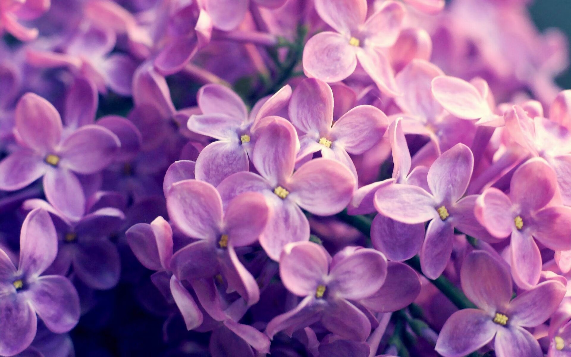 全黑队的攻防转换如行云流水，令对手难以捉摸，全黑队战舞