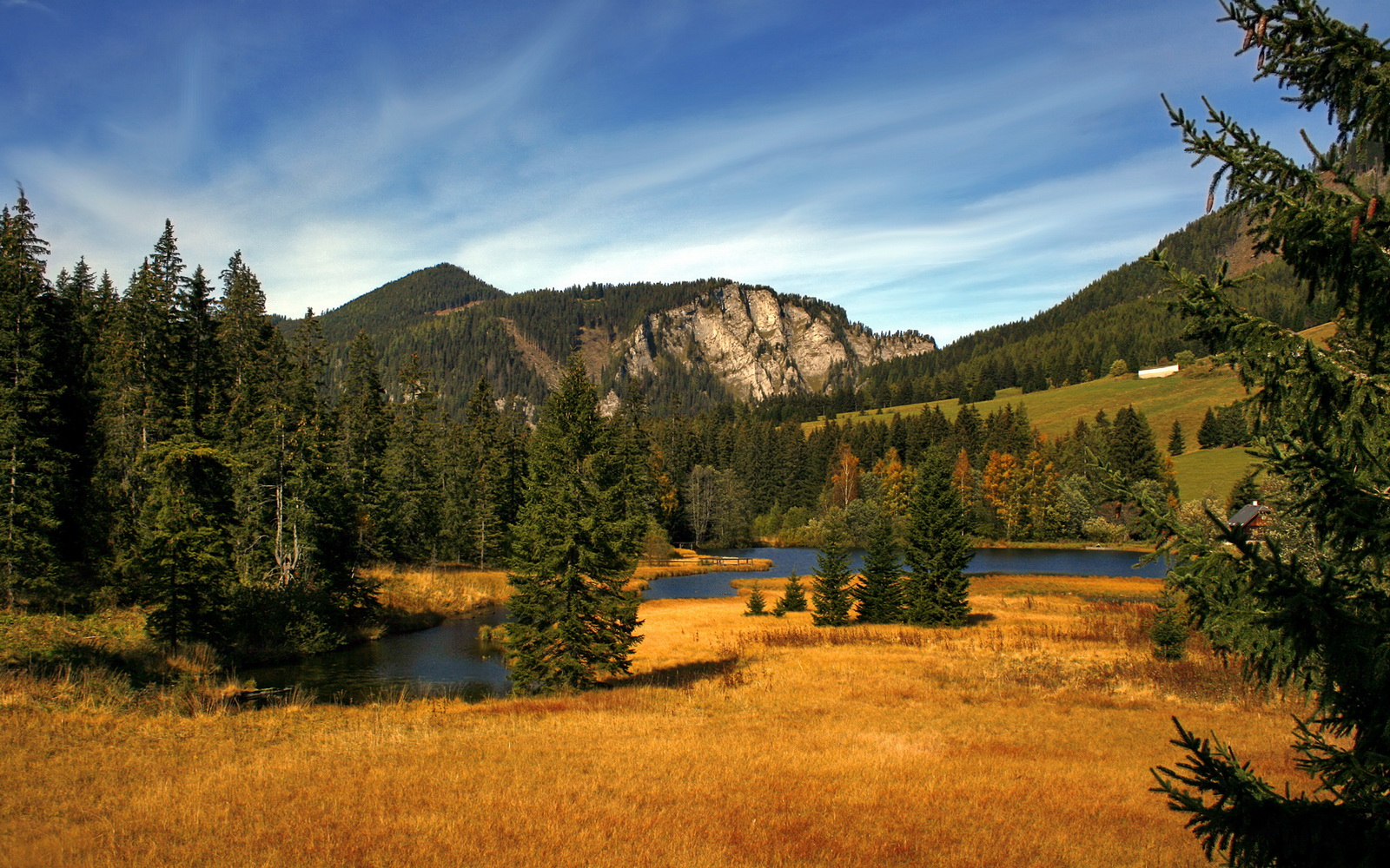 匈牙利男队再度闯入世锦赛决赛圈,匈牙利男队再度闯入世锦赛决赛圈视频