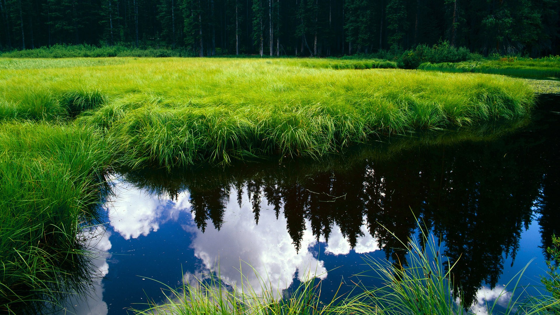 华体会登录最新地址-德甲决胜瞬间：关键时刻的奇迹进球，德甲的比赛