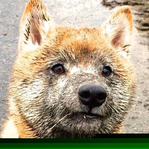 华体会-教练现场调整站位指令迅速传达战术执行效率持续上升，教练临场指挥