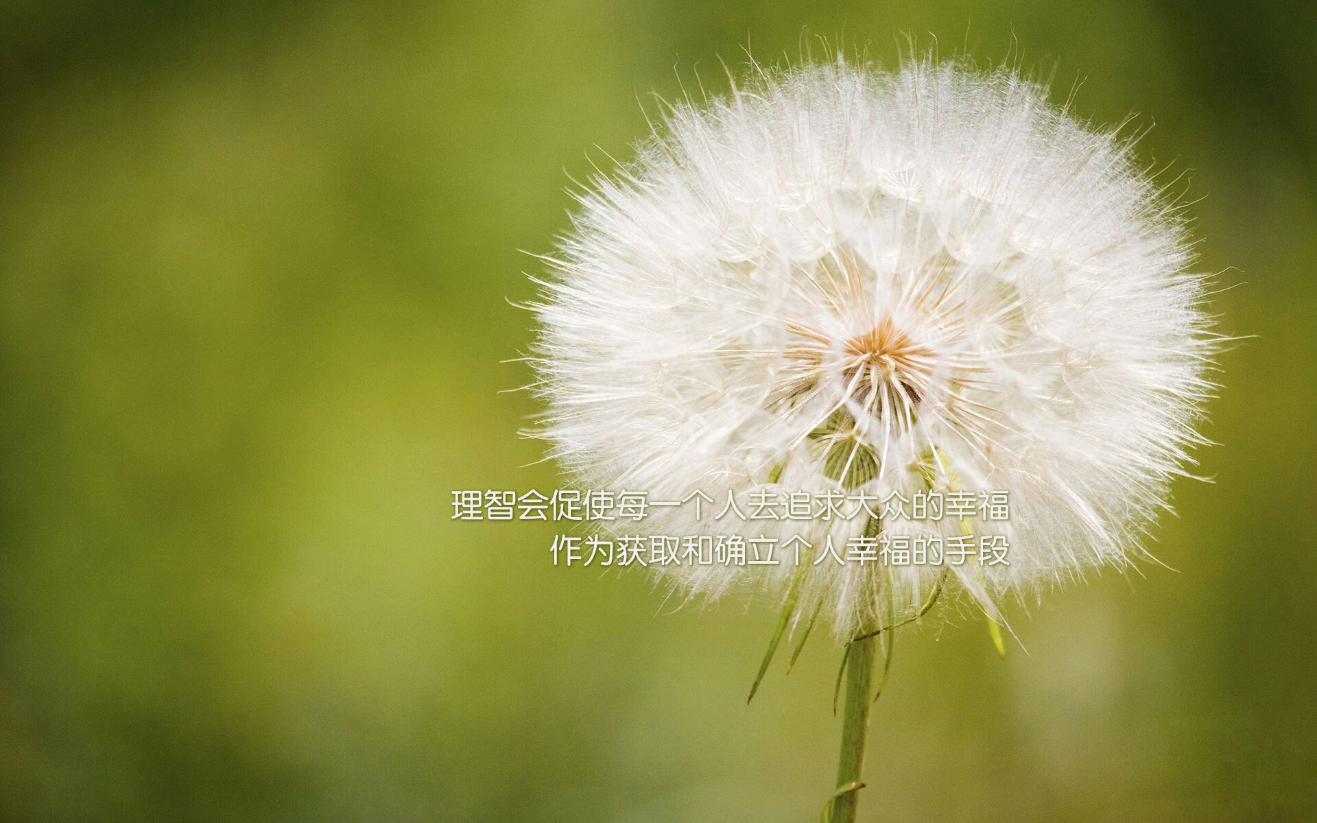 曼联再夺金牌刷新历史中超联赛焦点战，曼联历史十大中场