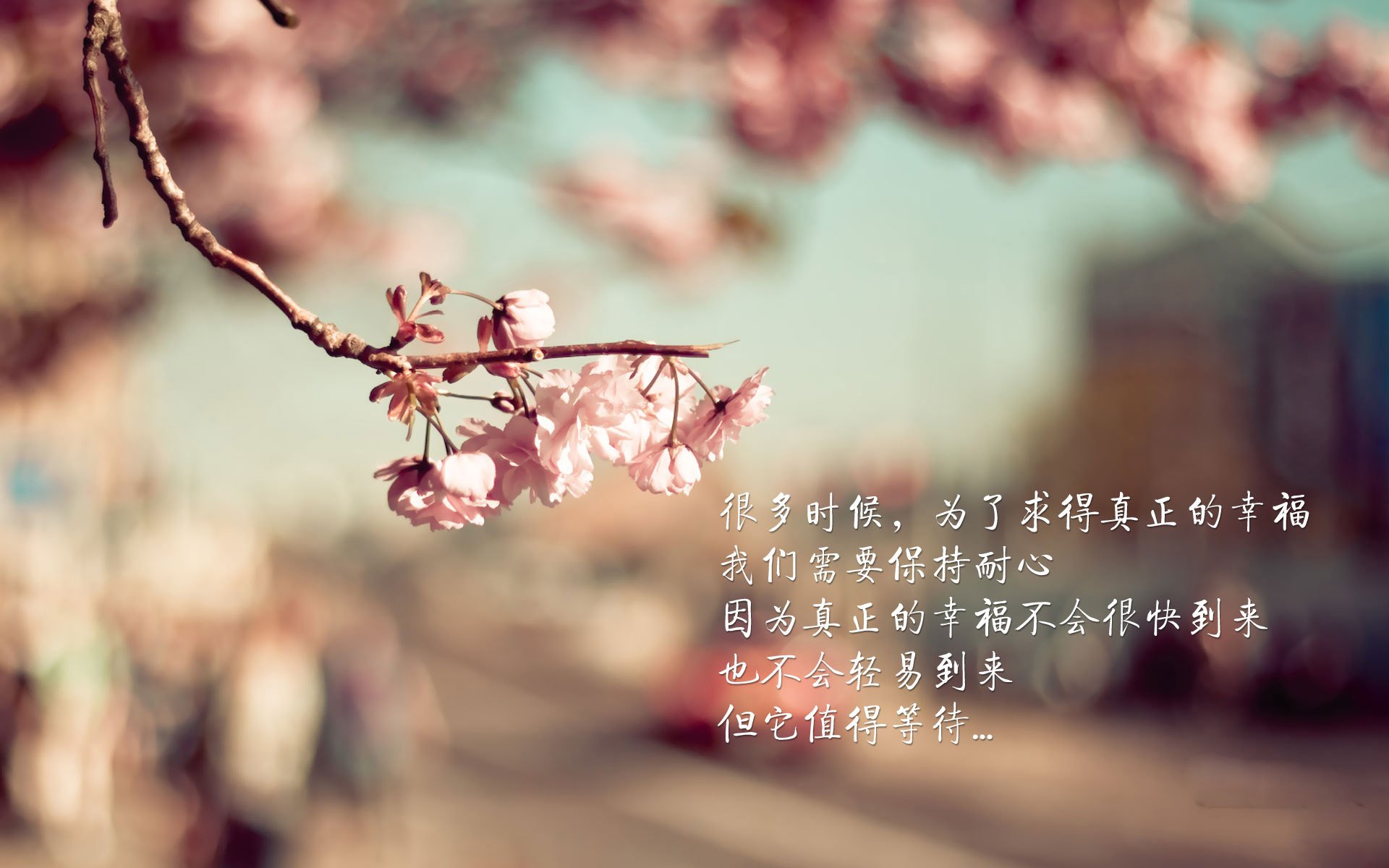 澳大利亚橄榄球青训体系逐步完善,成为全球橄榄球人才的摇篮,澳大利亚的橄榄球用英文怎么说