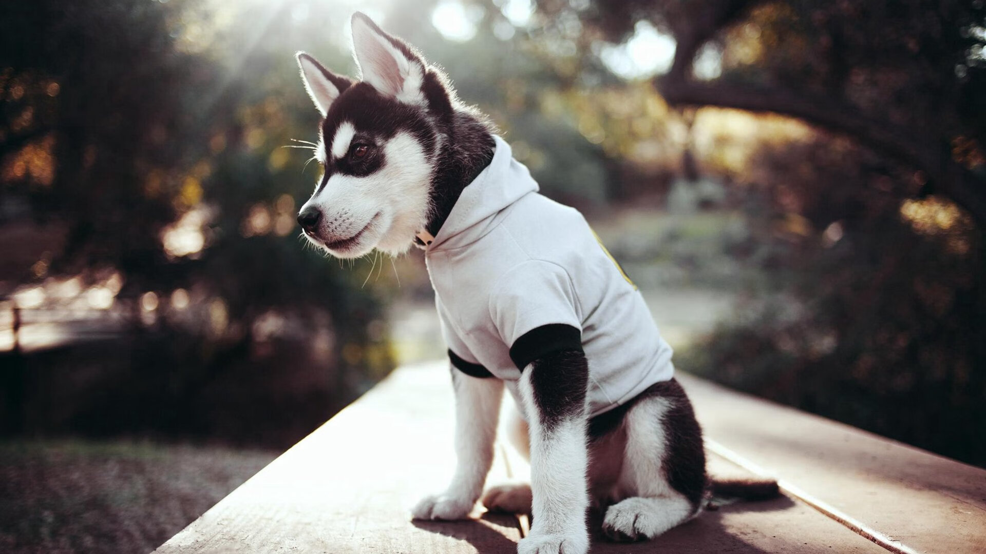 男篮季后赛对阵确定,强弱对决引爆谈资,男篮季后赛名单