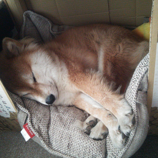 18场欧冠大战齐上阵，球迷盛宴开启！，欧冠 全场